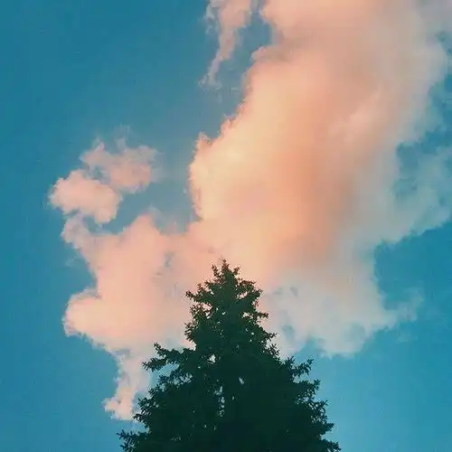 有哪些适合年轻人用的风景头像
