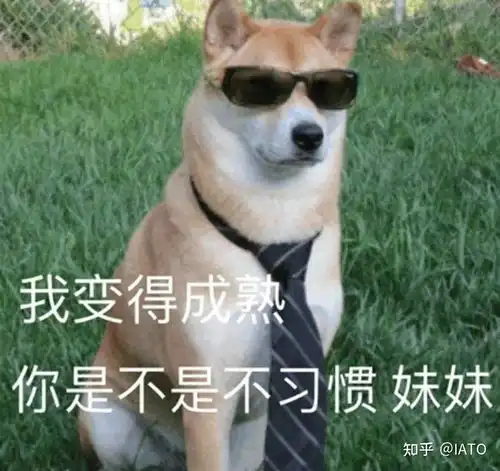 相亲谈恋爱有哪些经典话术
