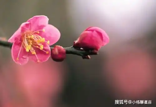 没有脾气的3种生肖男,很宠爱自己的妻子,让人羡慕
