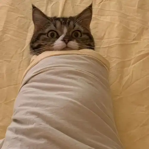 头像大全独一无二头像
