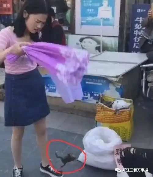 男子街头向女友跪地求婚,女子接过他的礼物后,却直接给他一巴掌
