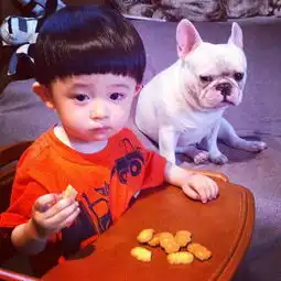 教育孩子的12种方法转给家长
