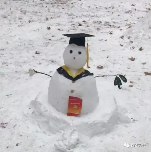 最美雪人哪家强
