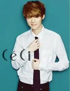 李敏镐朴海镇李钟硕金秀贤exo盘点韩国男星百变衬衫style
