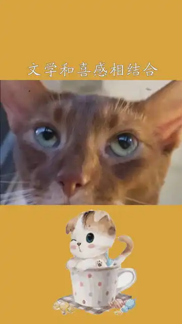emo到极致的文案高级伤感emo文案短句

