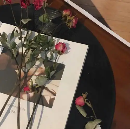 ins风头像配图壁纸
