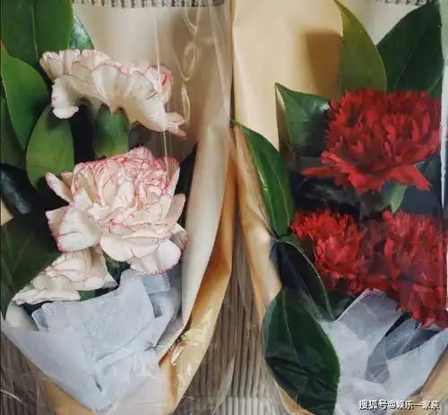 谢娜预产期没到,好姐妹奚梦瑶也大方官宣怀二胎,令人恭喜
