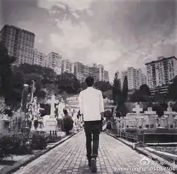 求这个头像的大图
