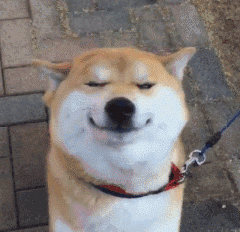 六叔被黑的最惨的一次用余文乐头像的多渣男
