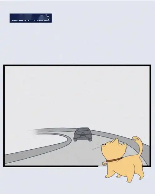 一只小橘猫的临终告白,看完你心疼了吗漫画
