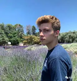 大火的迪士尼小鲜肉控诉前经纪人从12岁时就开始性侵他
