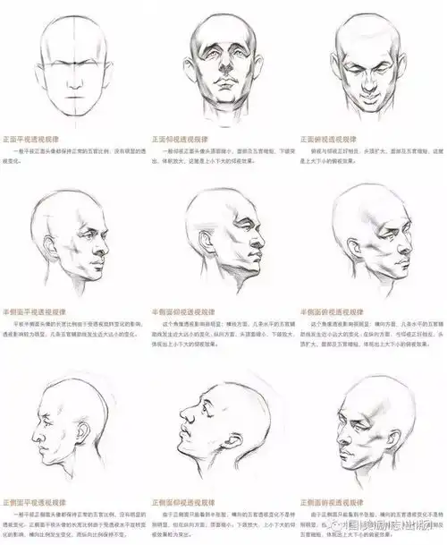 好看的动漫头像怎么画三步基础分析让你画好动漫头像
