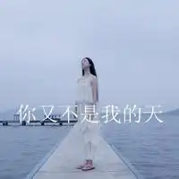 微信头像蓝天白云花草树图片大全