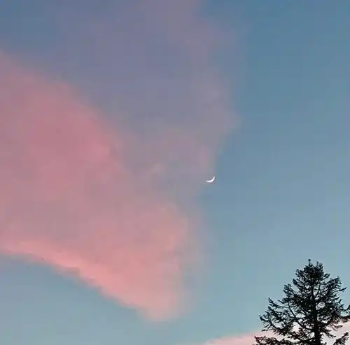 有哪些适合年轻人用的风景头像
