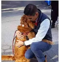 比真人还漂亮妻子机器人正式上市,一小时就被抢光
