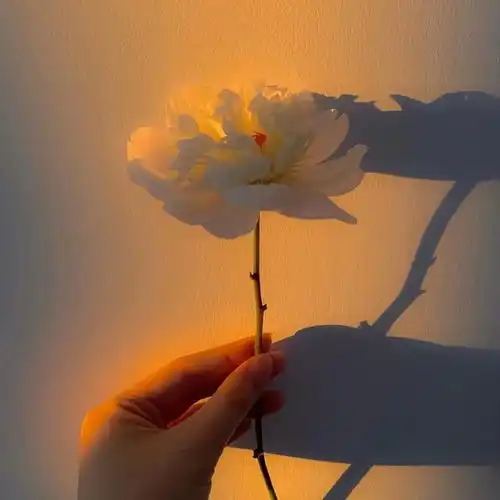 救赎治愈文案100句,落入人间的温暖句子
