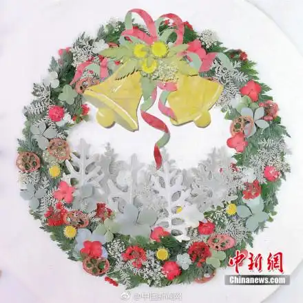 90后女孩用花草画了个九寨沟斩获国际大奖
