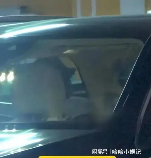 刘诗诗一家三口惊喜亮相,5岁儿子出众腿长引关注