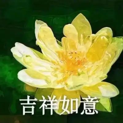 君兮染安度晚年
