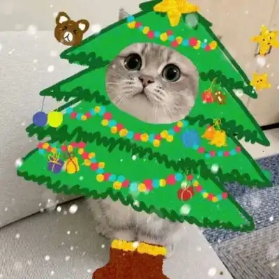 可爱猫咪宠物头像
