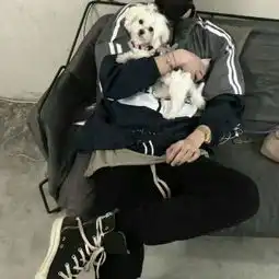 苏辞终是悟空闹了天你是自由qq男生头像我要个性网
