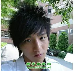 今年流行男生锡纸烫发型绝对最具个性
