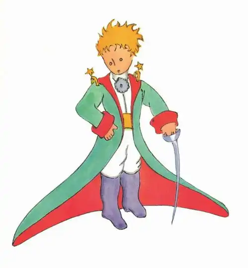 小王子玫瑰并不总是玫瑰,狐狸也不会一直是狐狸
