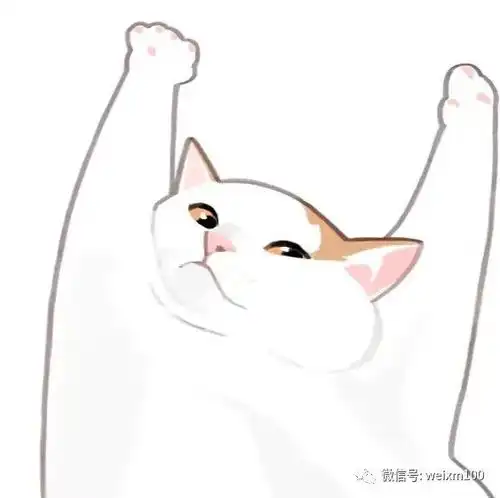 二次元猫咪
