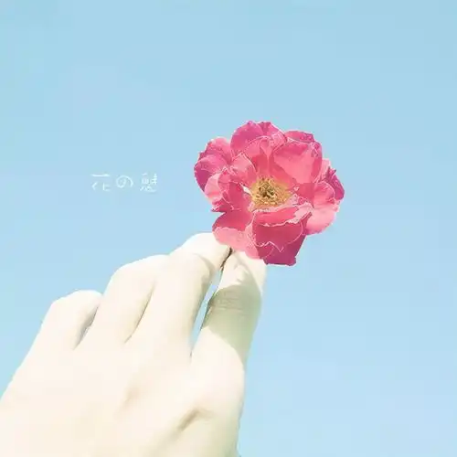 男人爱你入骨,才会给你三让
