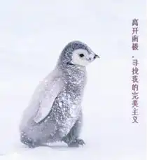 终于找到自己喜欢的头像了

