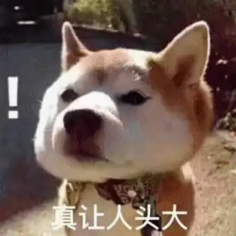 无锡一男子顺手牵狗,惹祸上身...
