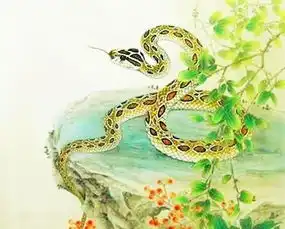 属蛇28运势如何2821属蛇人运势
