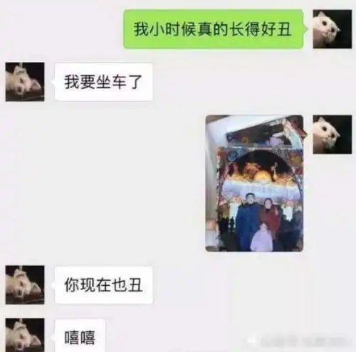 直男尬聊有多可怕一句话怼哭你,汪你的女友我来守护
