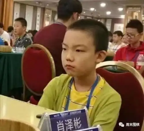 11岁的世界青少年围棋锦标赛冠军肖泽彬6段
