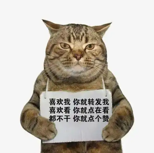 最萌文物出土5件猛男纯金猫爪,神评亮了...
