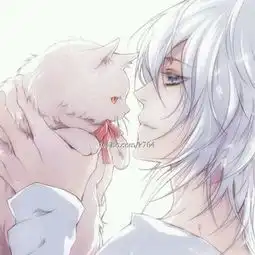 笨猫猫
