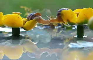 虐死单身动物们的秀恩爱合影
