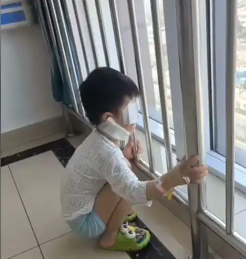 河南3岁男童被狗咬伤18天后身亡,咬人的狗去向不明,警方已提级调查
