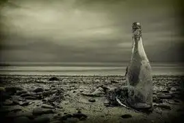飞翔的漂流瓶

