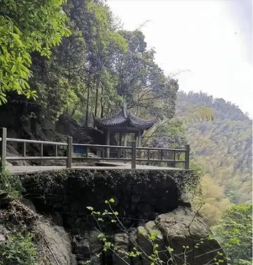 男孩景区撒尿被游客踹倒,妈妈与其撕打时坠崖游客夫妇没有孩子
