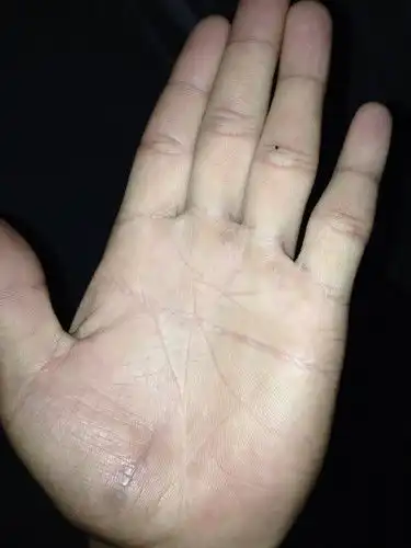 双手断掌我是男生左手什么命运求大师看看
