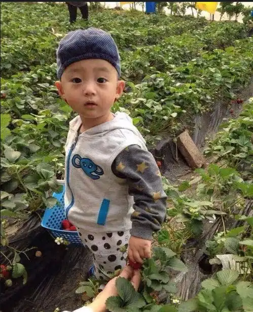 郝蕾带儿子别墅院子里面种菜,12岁儿子正面曝光小男孩长胡须了
