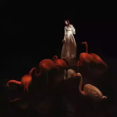 女人,成为影像之后
