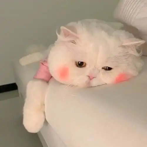 情头丨腻歪反过来怎么读

