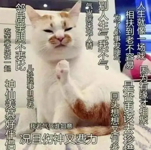 日常谈恋爱吧都行,看你吧
