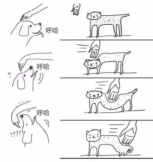 猫狗绝对是潜伏在地球的外星生物
