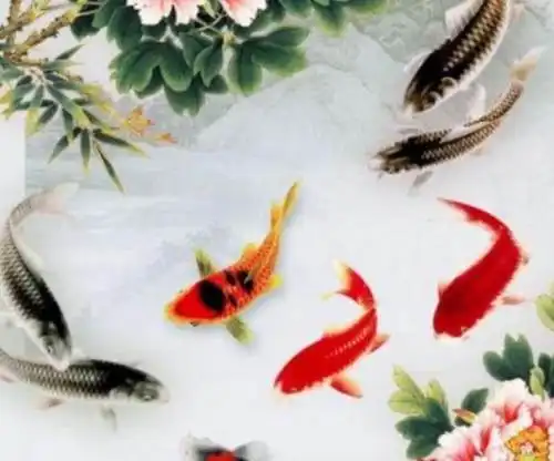 嘴上嫌弃老婆,但内心最懂得珍惜,三生肖男值得你托付
