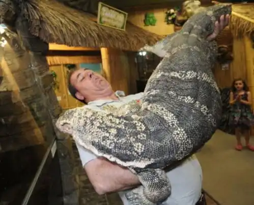 大叔饲养巨蜥当宠物,如今快养不起,网友想卖却没人肯要
