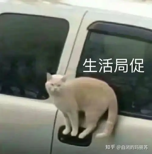 一个靠谱代购的日常是什么样的
