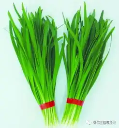 割韭菜的正确方式谈房屋出租纳税事宜
